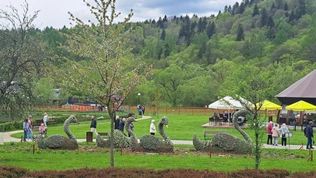 Ogrody sensoryczne w Muszynie - godziny otwarcia i atrakcje w pobliżu Ogrody sensoryczne w Muszynie - godziny otwarcia i atrakcje w pobliżu