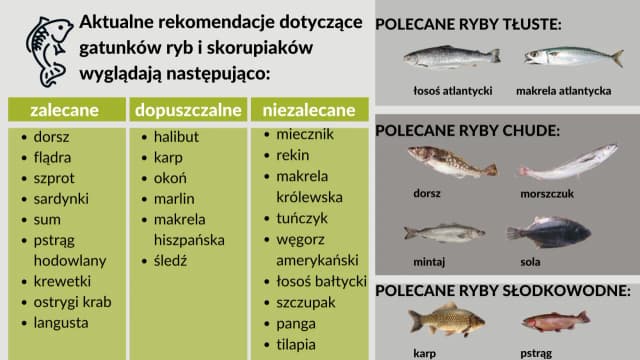 Jaka ryba dla dziecka jest bezpieczna i zdrowa? Sprawdź najlepsze wybory